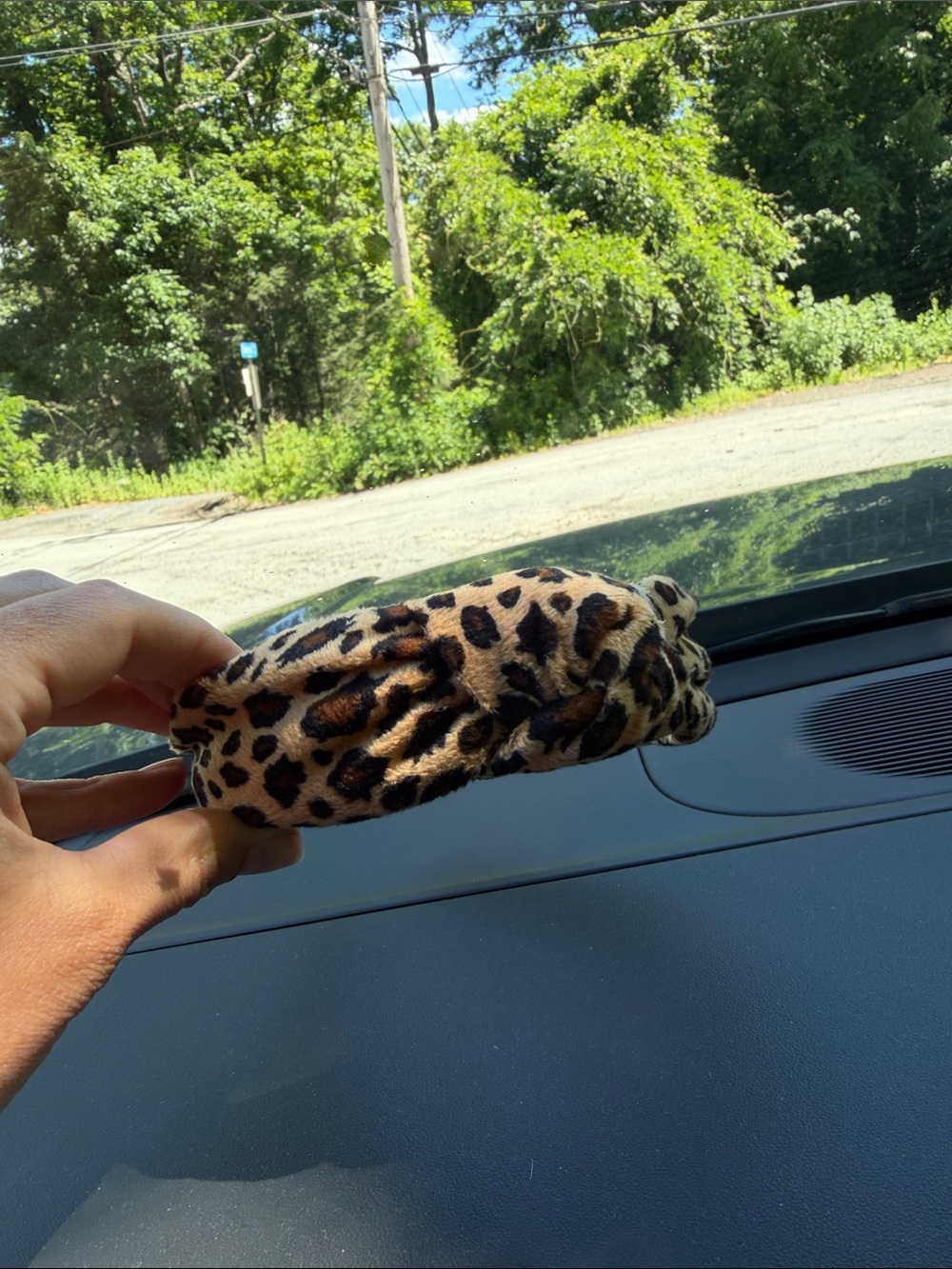Lele Sadoughi Leopard Print Plush Headband